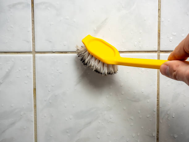 Best Fast Mold Removal  in Faith, NC