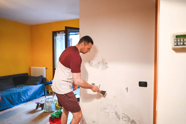 Best Mold Removal and Inspection  in Faith, NC