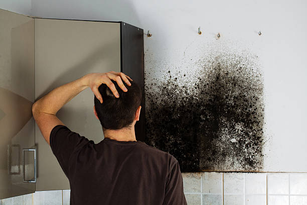 Best Mold Removal Near Me  in Faith, NC